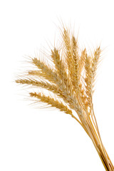 Wheat ears