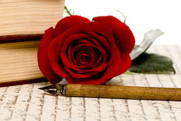 Rose Letter