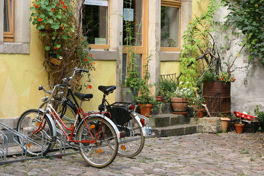 Bicycles in the yard