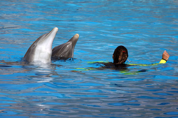 Naklejka premium woman playing with dolphins