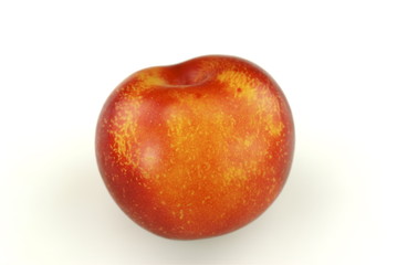 red plum on white
