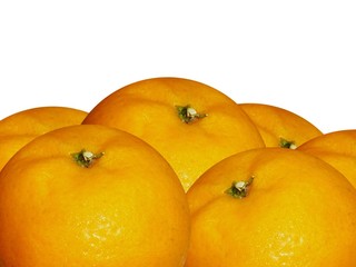 oranges group on white