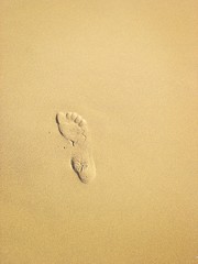 Pied sur plage de sable