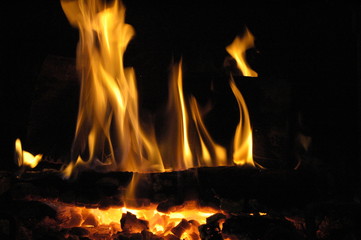 feu de chemin&eacute;e