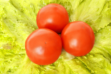 tomatoes on fresh leaves of lettuce