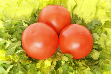 red tomatoes on lettuce and parsley