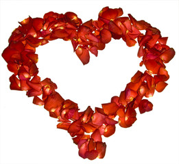 Heart of roses