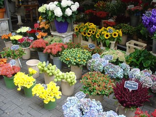 Street flower shop in Amsterdam