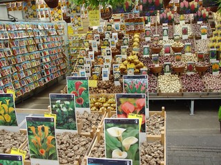 Flower market