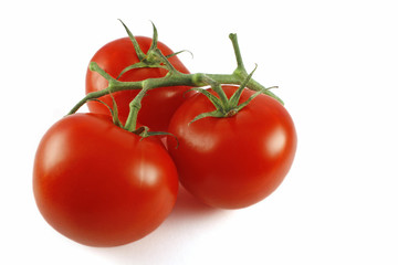 Red Tomatoes
