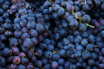 Fresh dark red grapes at market place