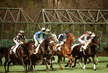course de chevaux
