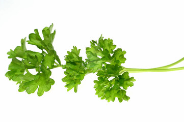 Parsley
