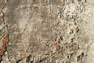 Rock Texture