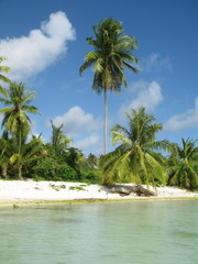 Playa De Bora Bora espectacular