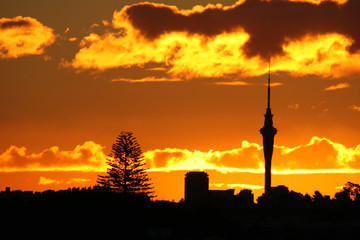 Amazing Sky Tower Sunset