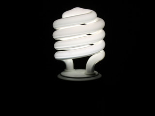 Compact Fluorescent Light Bulb