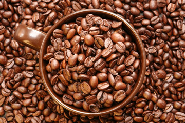 Coffee Beans