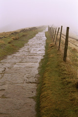 misty path 3