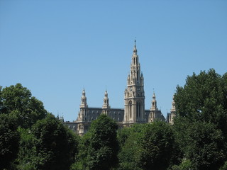 Fototapeta premium city hall in vienna