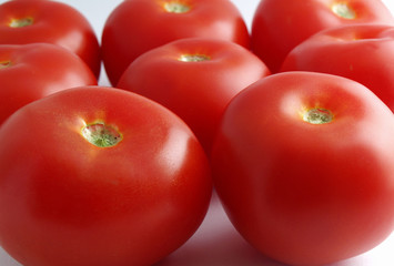 tomatoes background