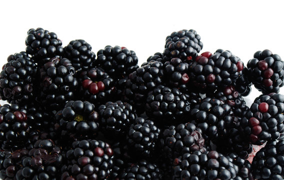 blackberries isolated on white