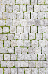 Stone pavement with green grass