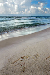 Footprint on the Shore