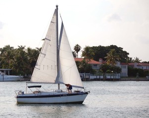 Obraz premium White Sailboat