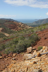 Caledonian landscape 4