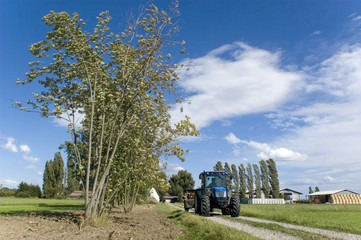 Naklejka premium trattore