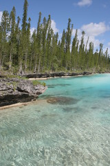 Natural paradise pool 2