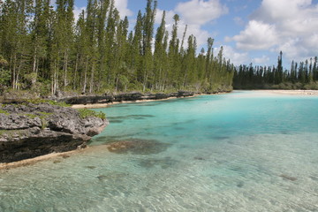 Natural paradise pool