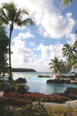 Swimming down to the sea 2