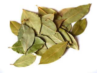 bay leaves on white background