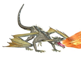 Fototapeta premium feuer speiender drache