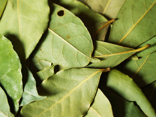 bay leaves