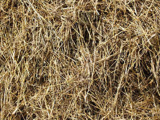 a stack of straw