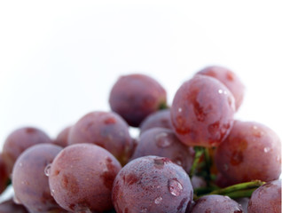 grape close-up