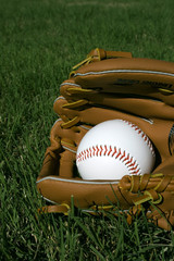 Baseball and Glove in Grass