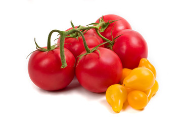 Red tomatoes on the vine and yellow tomatoes