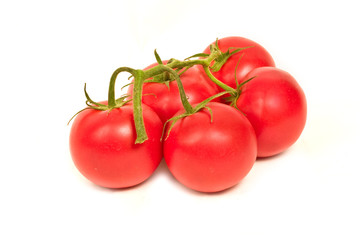 Red tomatoes on the vine