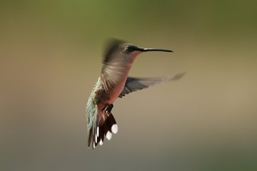 Free flying