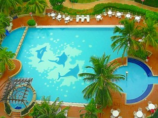 pool aerial full view