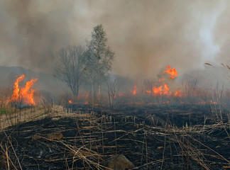 Fire 7