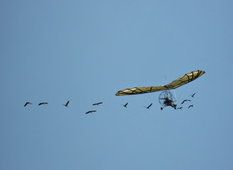 migration