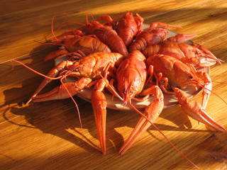 Crawfish