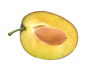 half of plum with plum seed