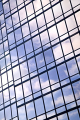 Window reflection vertical