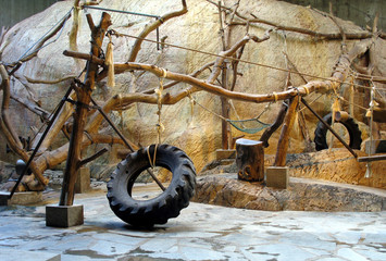 Zoo interior - 4178451